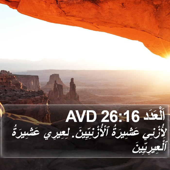 اَلْعَدَد 26:16 AVD Bible Study