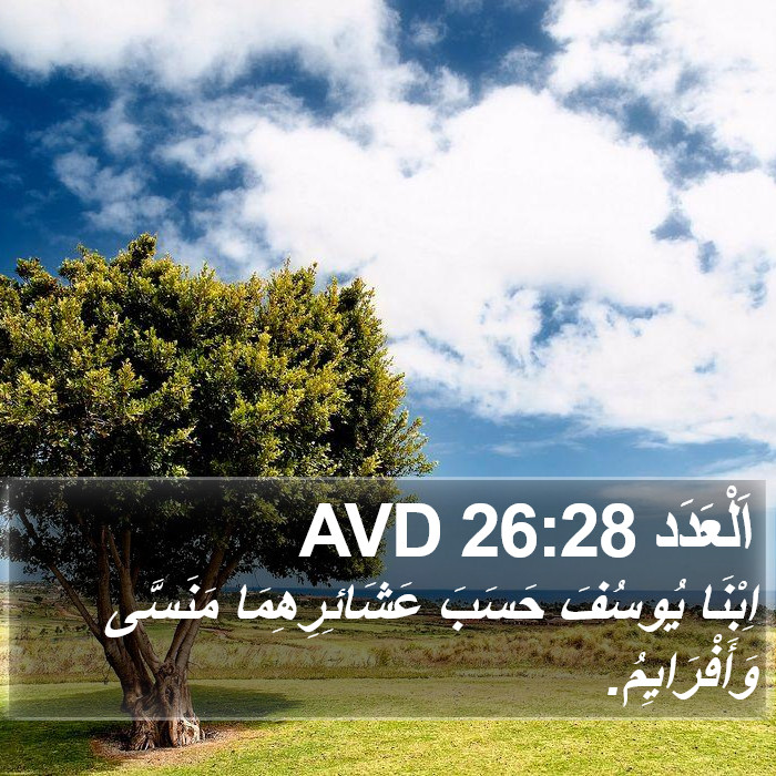 اَلْعَدَد 26:28 AVD Bible Study