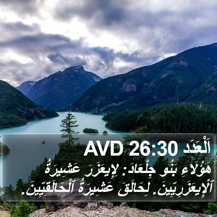 اَلْعَدَد 26:30 AVD Bible Study
