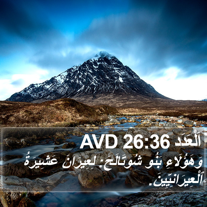 اَلْعَدَد 26:36 AVD Bible Study