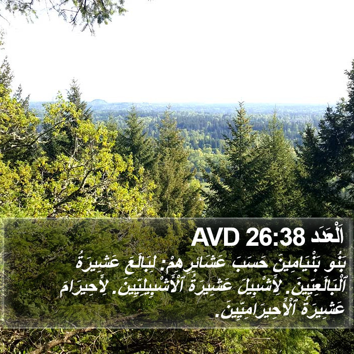 اَلْعَدَد 26:38 AVD Bible Study