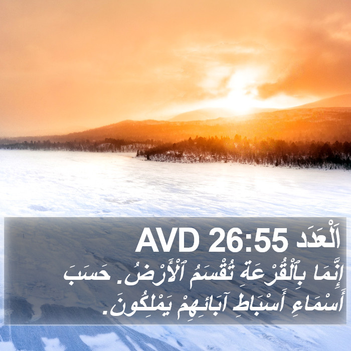 اَلْعَدَد 26:55 AVD Bible Study