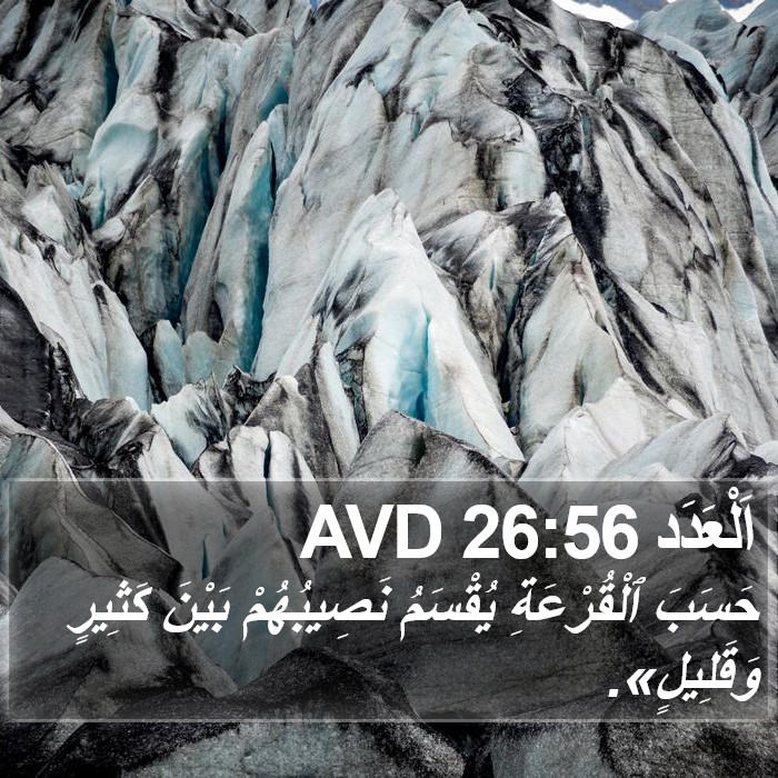 اَلْعَدَد 26:56 AVD Bible Study
