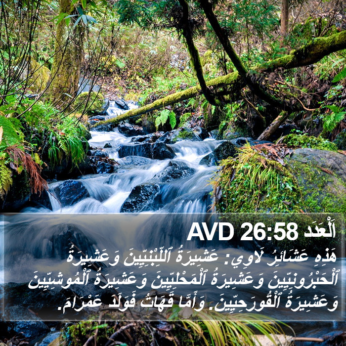 اَلْعَدَد 26:58 AVD Bible Study