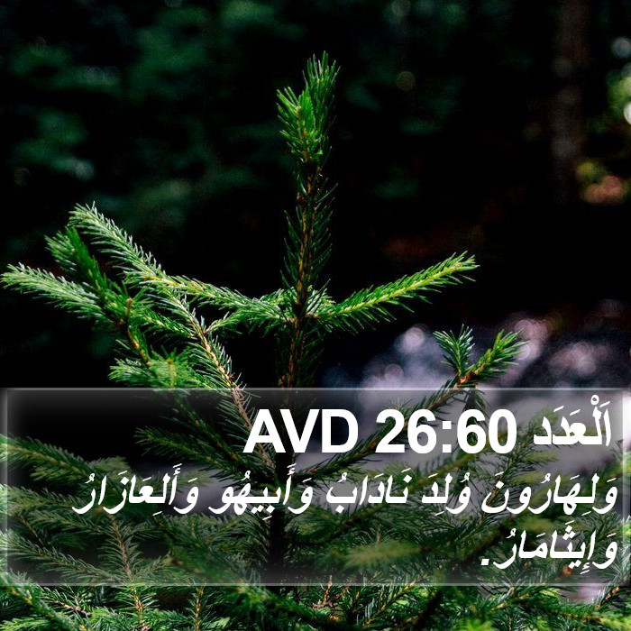 اَلْعَدَد 26:60 AVD Bible Study