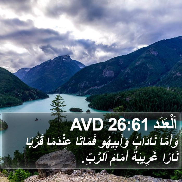 اَلْعَدَد 26:61 AVD Bible Study