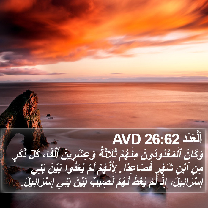 اَلْعَدَد 26:62 AVD Bible Study