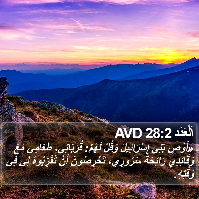 اَلْعَدَد 28:2 AVD Bible Study