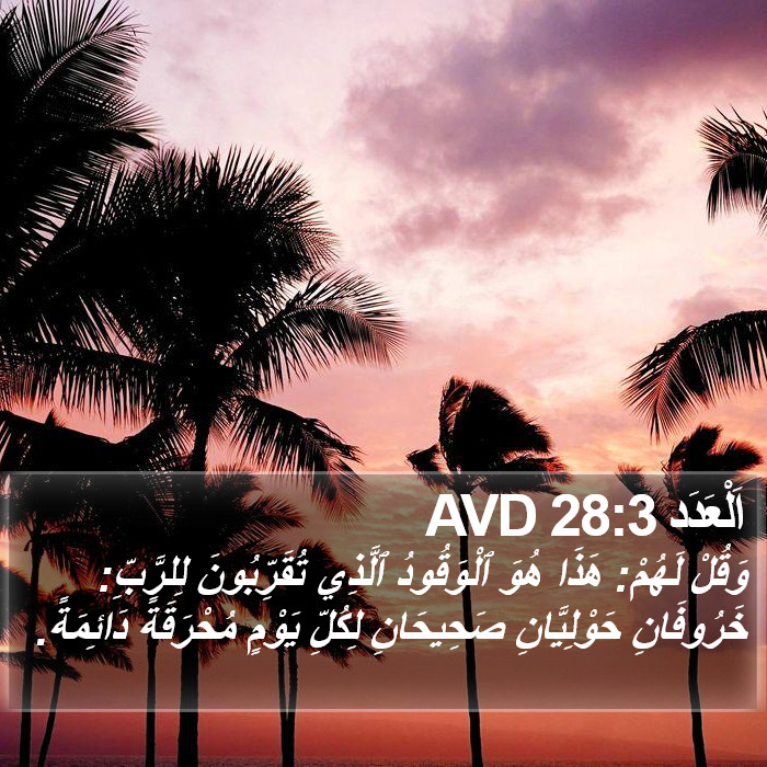 اَلْعَدَد 28:3 AVD Bible Study