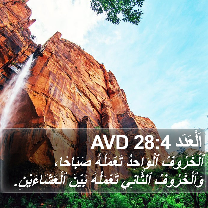 اَلْعَدَد 28:4 AVD Bible Study