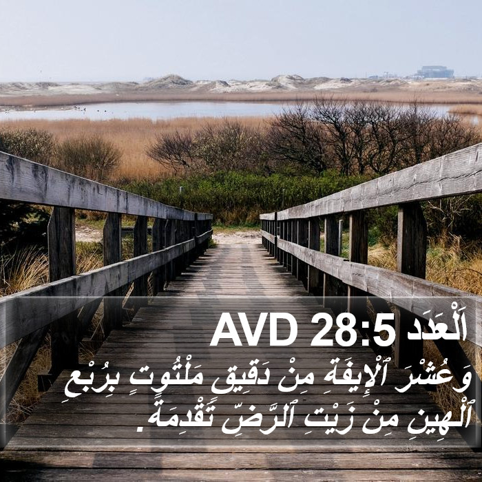 اَلْعَدَد 28:5 AVD Bible Study