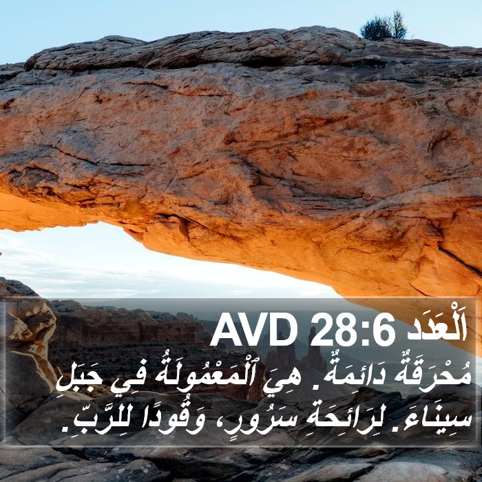 اَلْعَدَد 28:6 AVD Bible Study