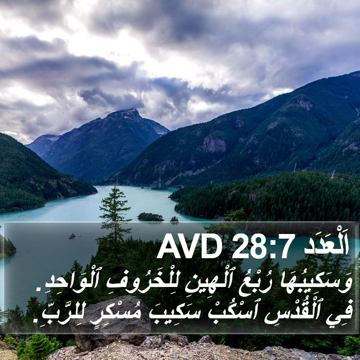 اَلْعَدَد 28:7 AVD Bible Study