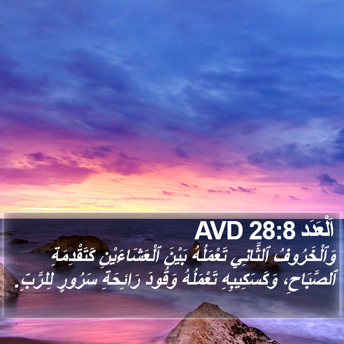 اَلْعَدَد 28:8 AVD Bible Study