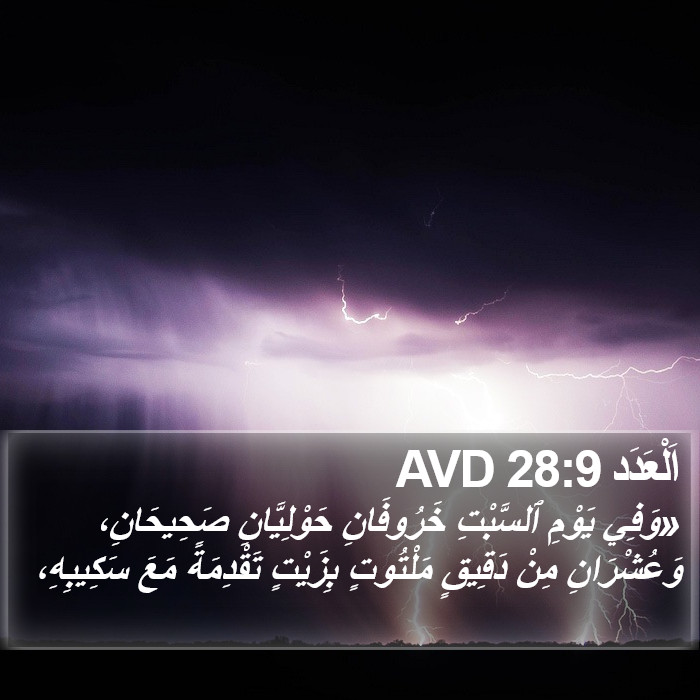 اَلْعَدَد 28:9 AVD Bible Study