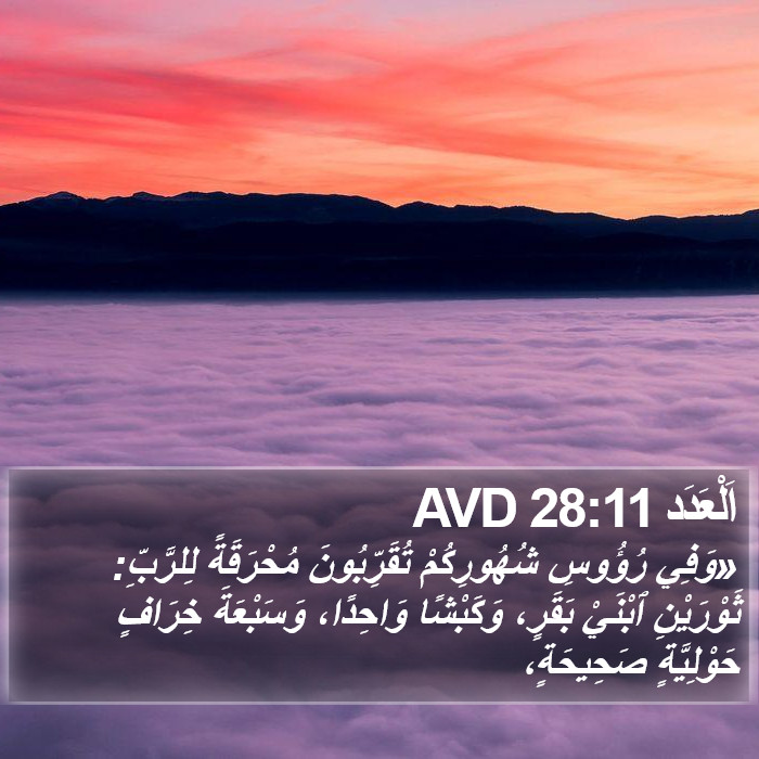 اَلْعَدَد 28:11 AVD Bible Study