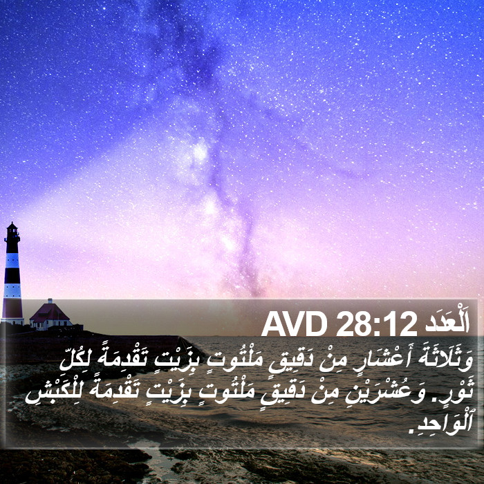 اَلْعَدَد 28:12 AVD Bible Study