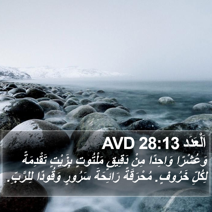 اَلْعَدَد 28:13 AVD Bible Study