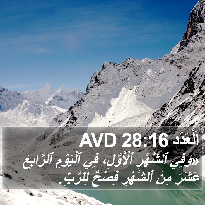 اَلْعَدَد 28:16 AVD Bible Study