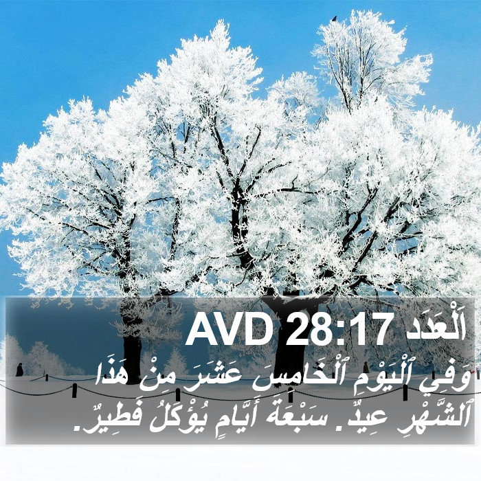 اَلْعَدَد 28:17 AVD Bible Study