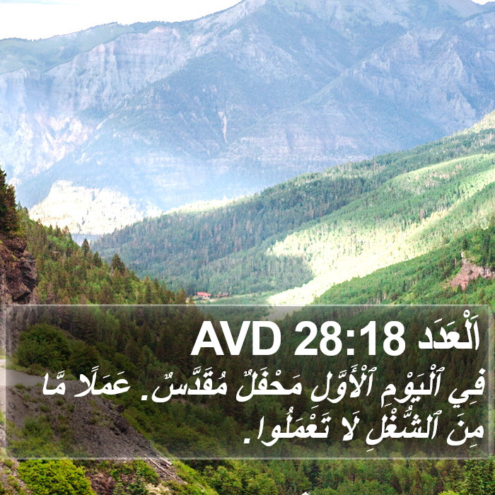 اَلْعَدَد 28:18 AVD Bible Study