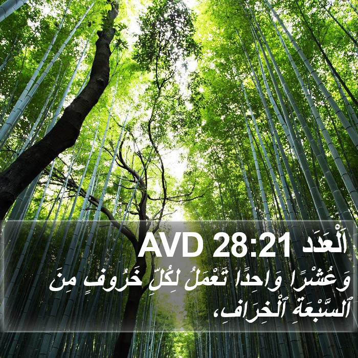 اَلْعَدَد 28:21 AVD Bible Study