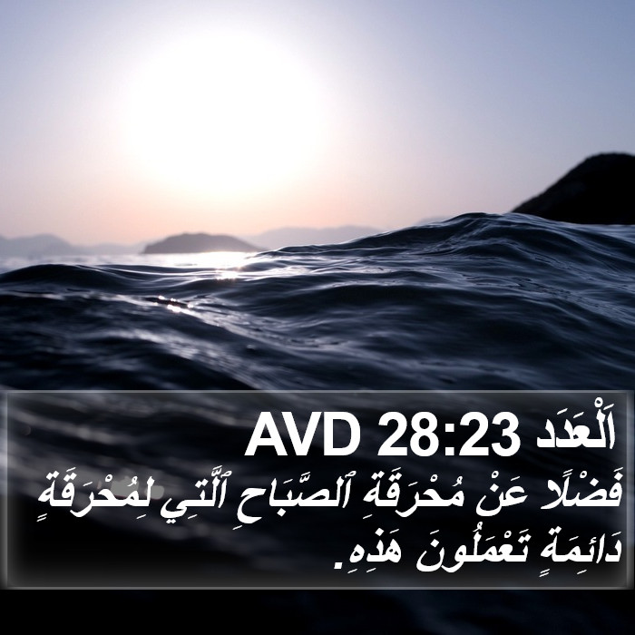 اَلْعَدَد 28:23 AVD Bible Study