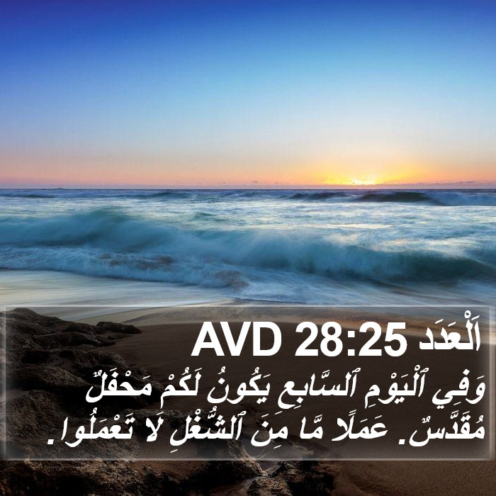 اَلْعَدَد 28:25 AVD Bible Study