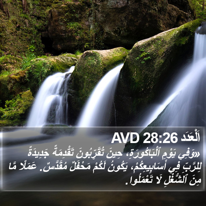 اَلْعَدَد 28:26 AVD Bible Study