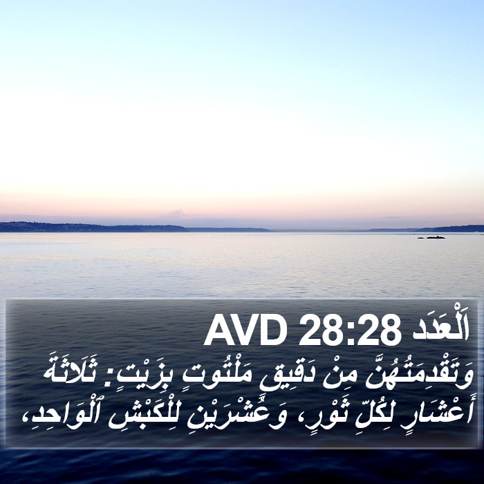 اَلْعَدَد 28:28 AVD Bible Study