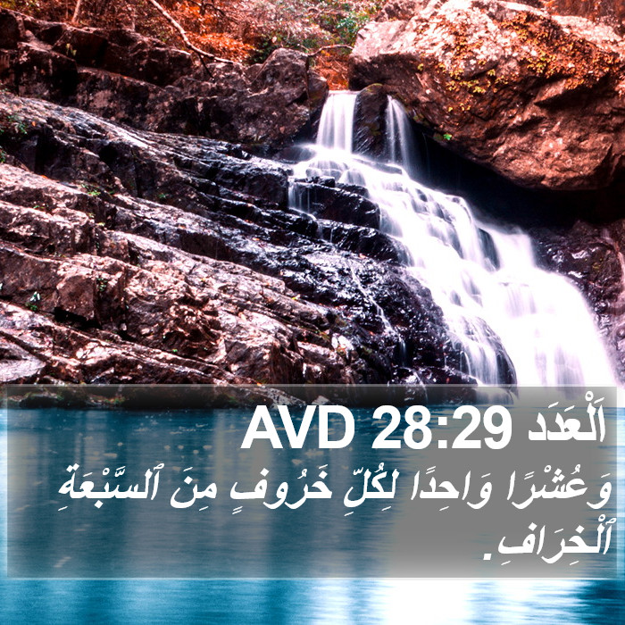 اَلْعَدَد 28:29 AVD Bible Study