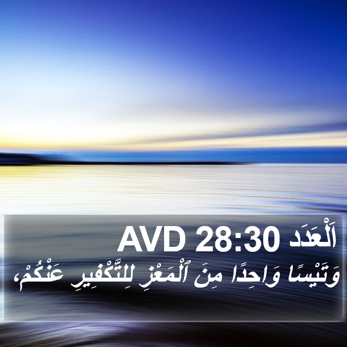 اَلْعَدَد 28:30 AVD Bible Study