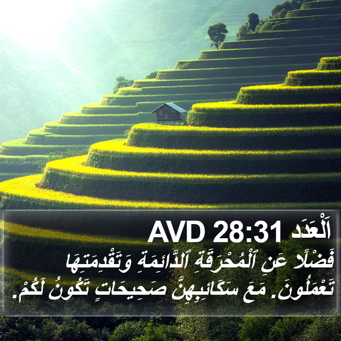 اَلْعَدَد 28:31 AVD Bible Study