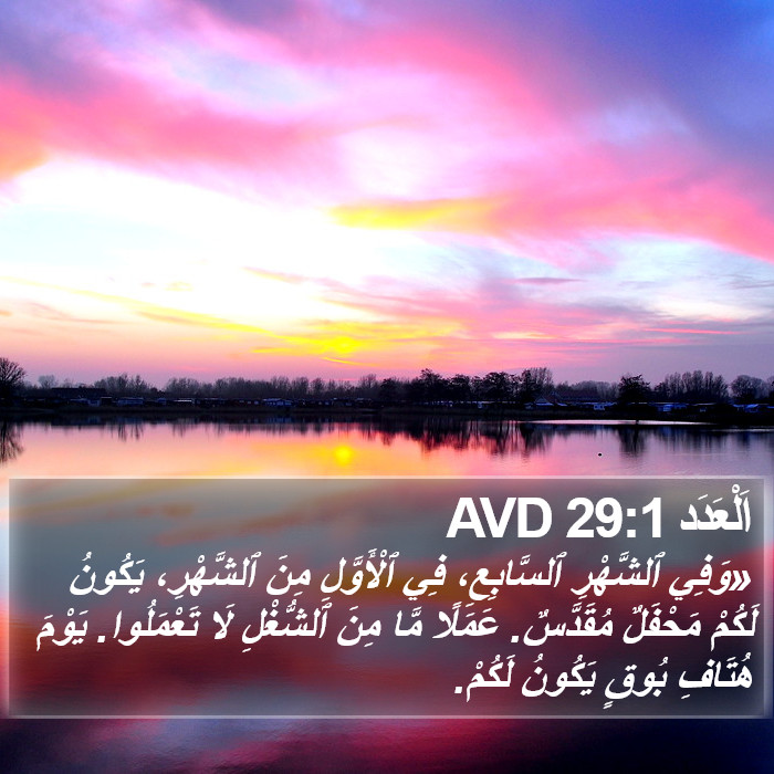 اَلْعَدَد 29:1 AVD Bible Study
