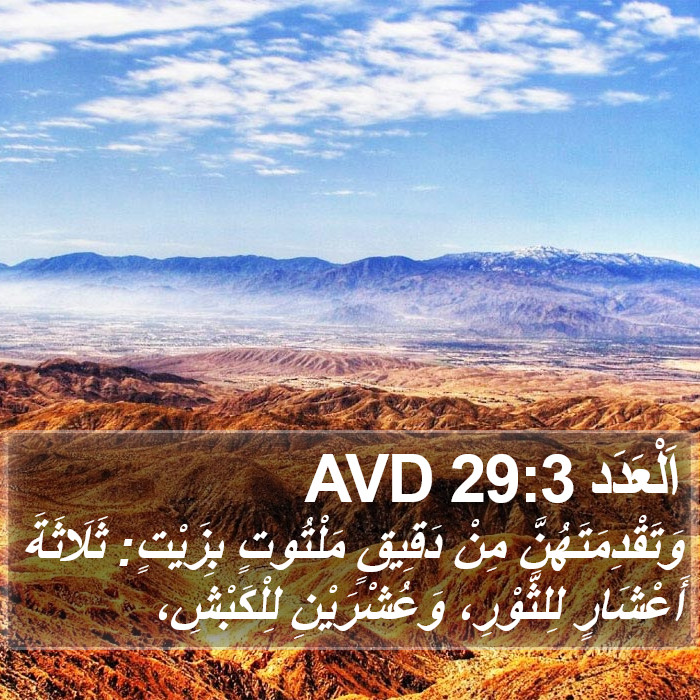 اَلْعَدَد 29:3 AVD Bible Study