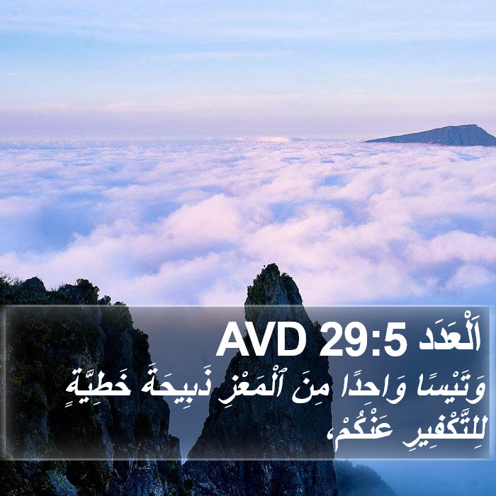 اَلْعَدَد 29:5 AVD Bible Study