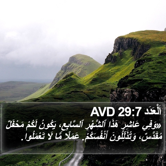 اَلْعَدَد 29:7 AVD Bible Study
