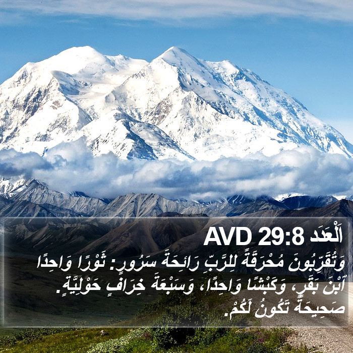 اَلْعَدَد 29:8 AVD Bible Study
