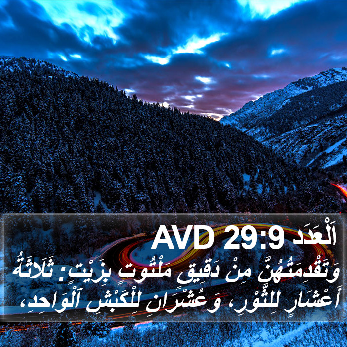 اَلْعَدَد 29:9 AVD Bible Study