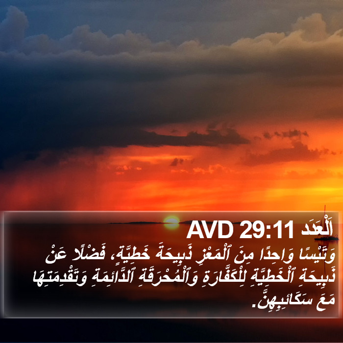 اَلْعَدَد 29:11 AVD Bible Study