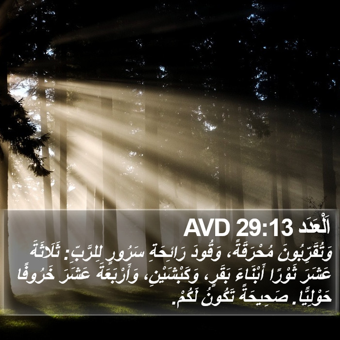 اَلْعَدَد 29:13 AVD Bible Study