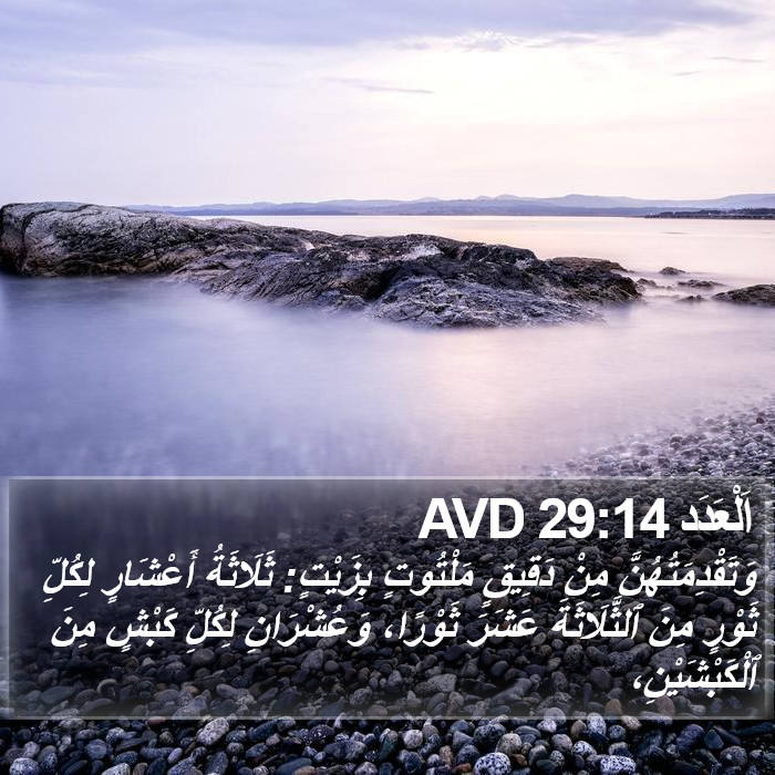 اَلْعَدَد 29:14 AVD Bible Study