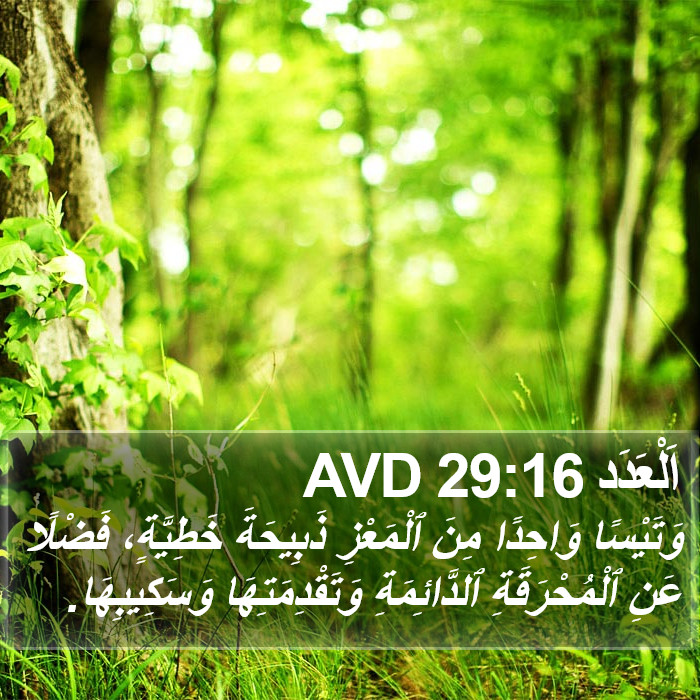 اَلْعَدَد 29:16 AVD Bible Study