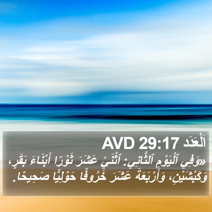 اَلْعَدَد 29:17 AVD Bible Study