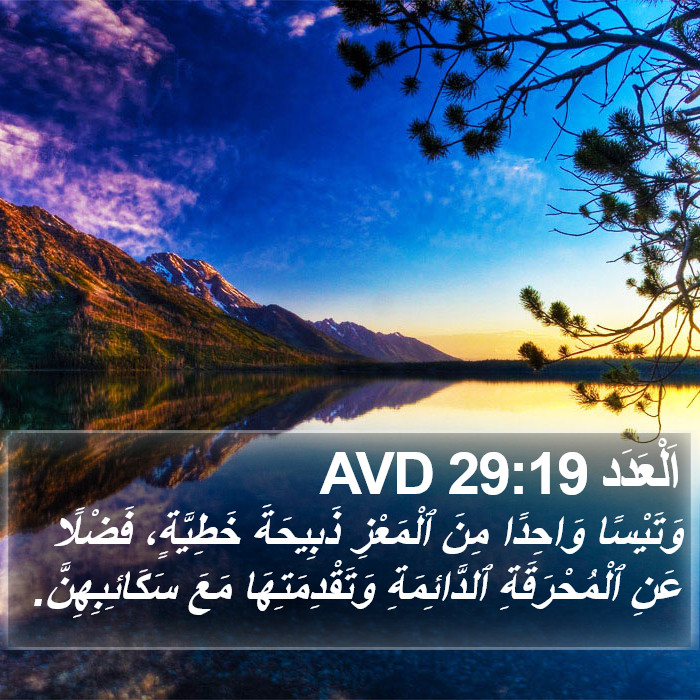 اَلْعَدَد 29:19 AVD Bible Study