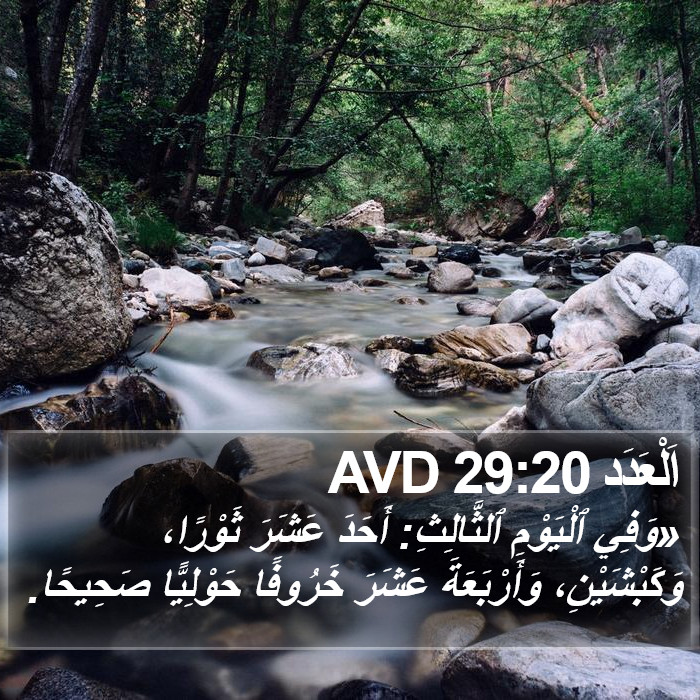 اَلْعَدَد 29:20 AVD Bible Study