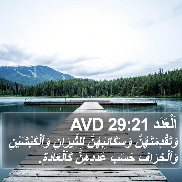اَلْعَدَد 29:21 AVD Bible Study