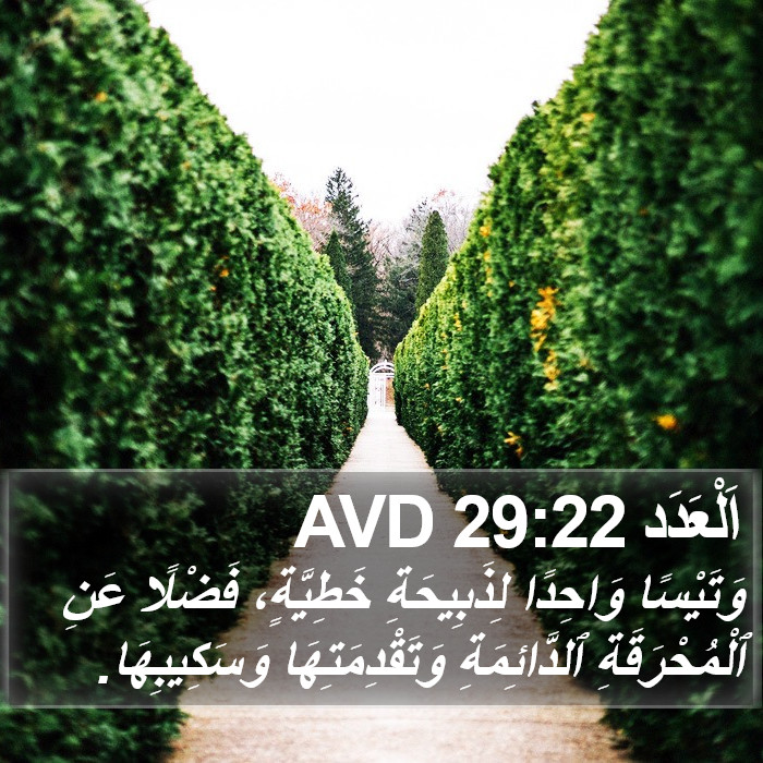 اَلْعَدَد 29:22 AVD Bible Study