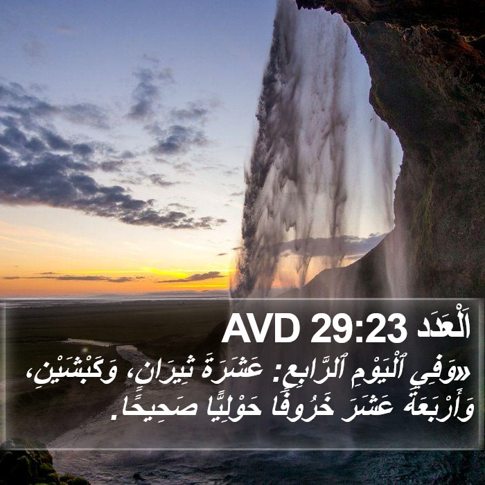 اَلْعَدَد 29:23 AVD Bible Study