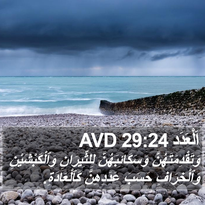 اَلْعَدَد 29:24 AVD Bible Study